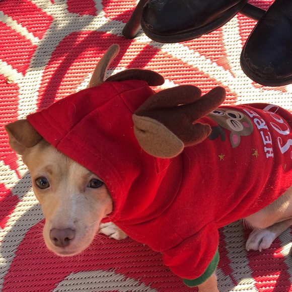 Meet your Posher, Lecia - Picture 3 of 3